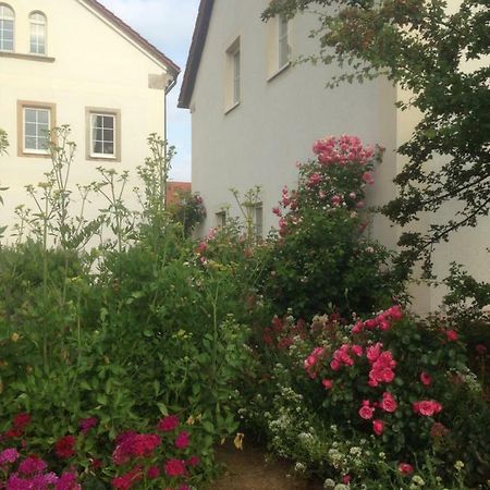Ferienwohnung Zweinig 01 מראה חיצוני תמונה